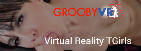 enter groobyvr