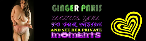 enter mygingerparis